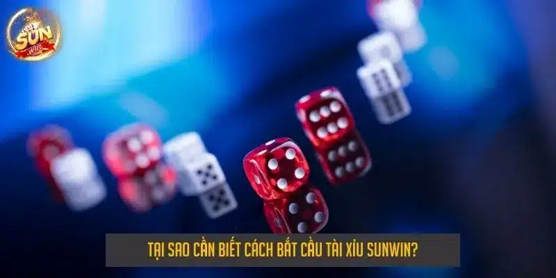 Tại sao cần biết cách bắt cầu tài xỉu sunwin?